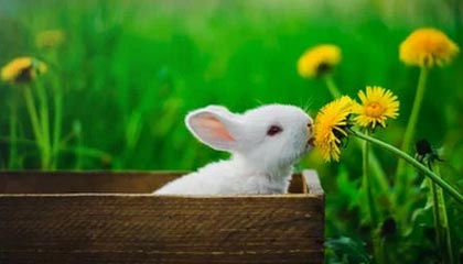 世界杯官方入口-中国队女足亚洲杯开门红